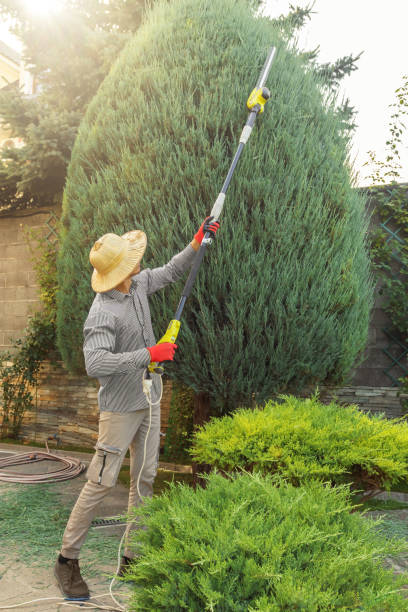 Seasonal Cleanup (Spring/Fall) in Chelan, WA